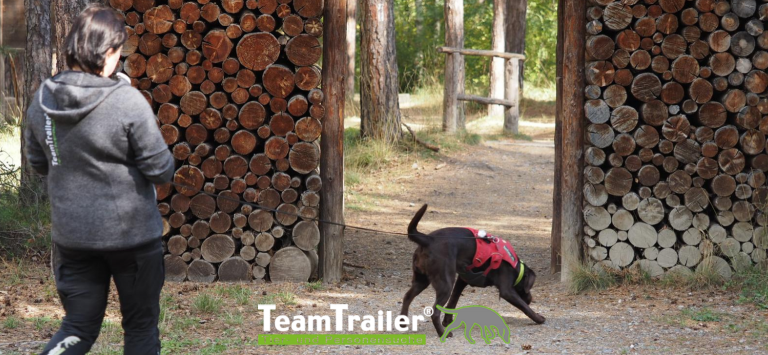 Bild Call to Action Homepage-19