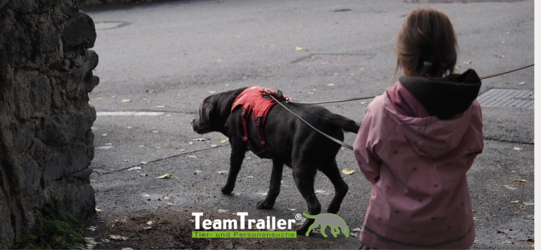 Bild Call to Action Homepage-23