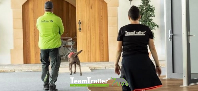 Bild Call to Action Homepage-24